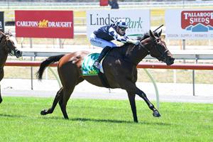 PLENTY OF SASS TO COME FROM CLASS FILLY